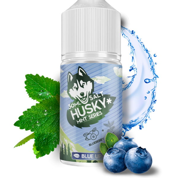 Купить Husky Salt Mint Series Strong - Blue Up (Голубика) 30мл